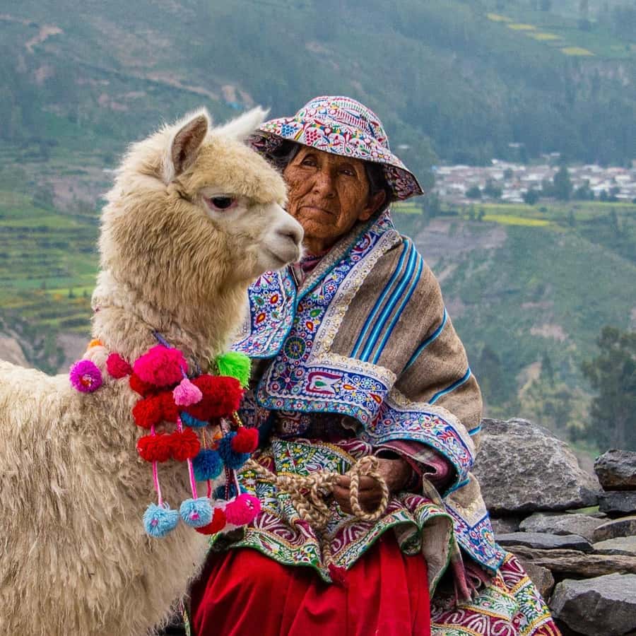 From Puno to Arequipa: 2 Days/1 Night Colca Canyon Tour - Cruz del Condor and the morning wildlife show