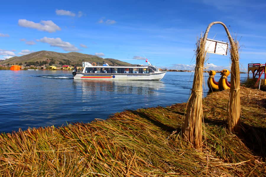 From Puno: Uros floating islands half Day tour - Who will enjoy this half-day outing