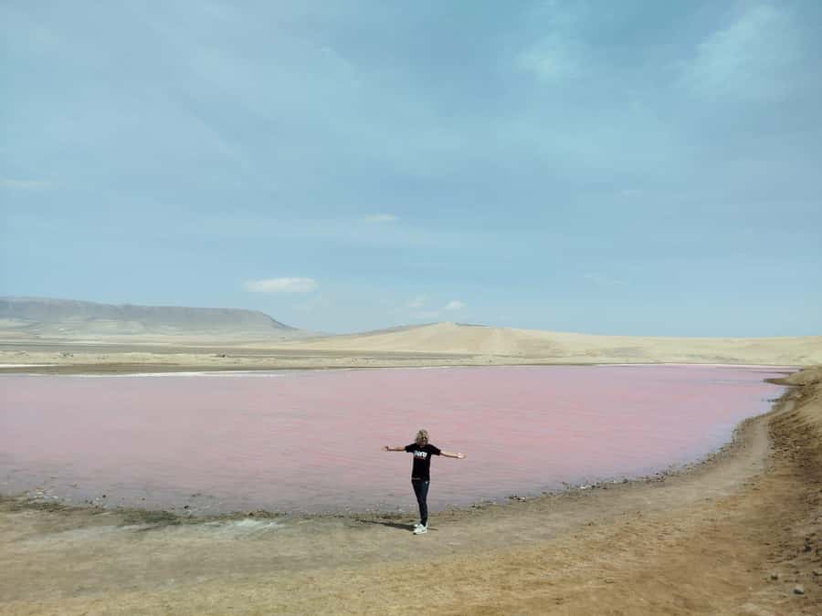 From San Martin Port: Ballestas Island & Paracas Reserve - Why this five-hour trip works from San Martin Port