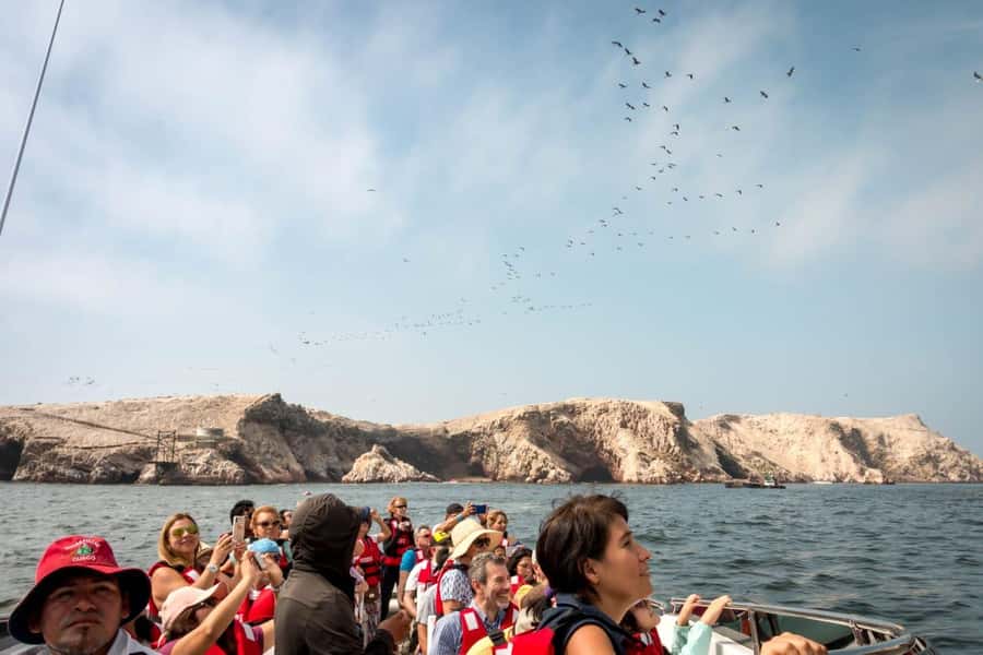 From San Martin Port: Ballestas Island & Paracas Reserve - Two hours around Ballestas Islands