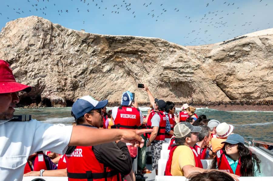 From San Martin Port: Ballestas Island & Paracas Reserve - From sea birds to Paracas desert