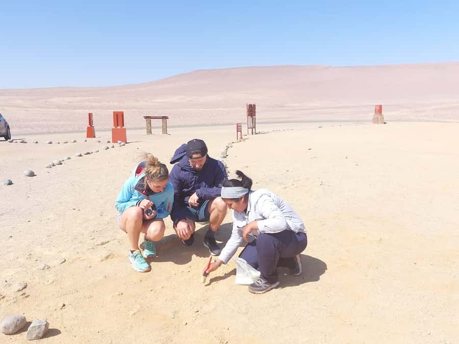 From San Martin Port: Ballestas Island & Paracas Reserve - A short stop at Lagunillas Beach