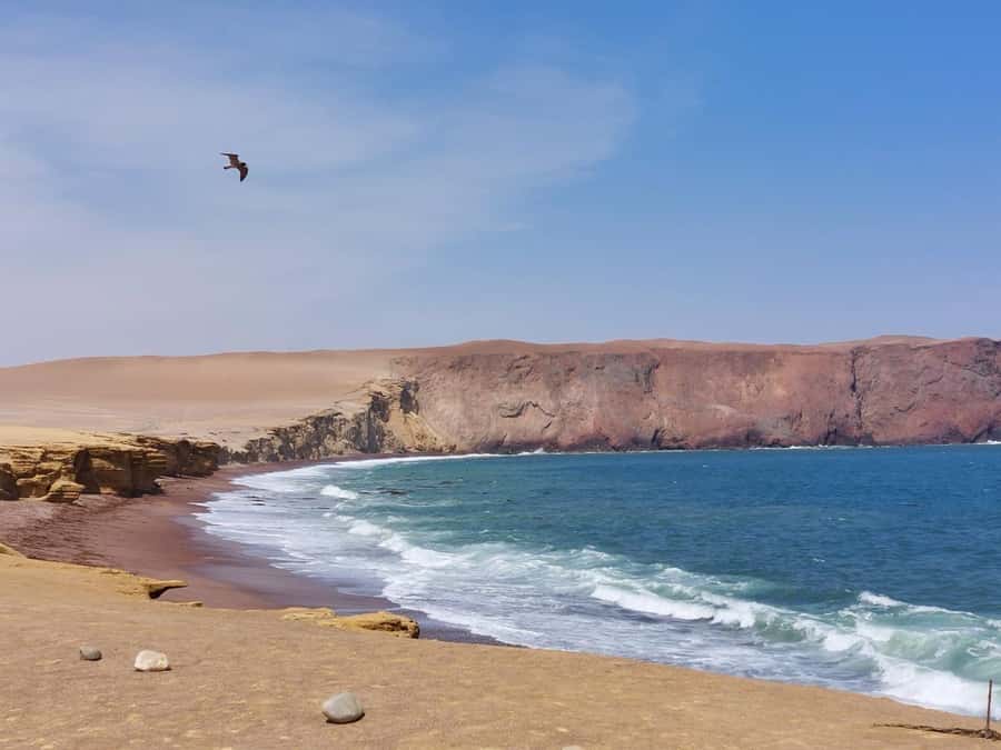 From San Martin Port: Ballestas Island & Paracas Reserve - The Candelabro and the ride to the islands