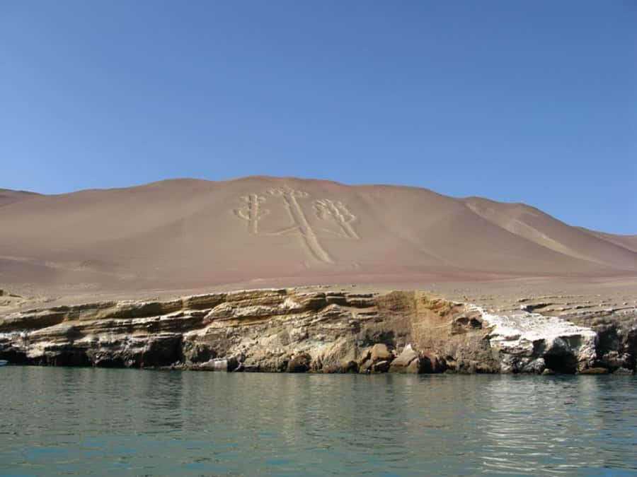 From San Martin Port: Ballestas Islands Tour in Paracas - Why guano birds matter here