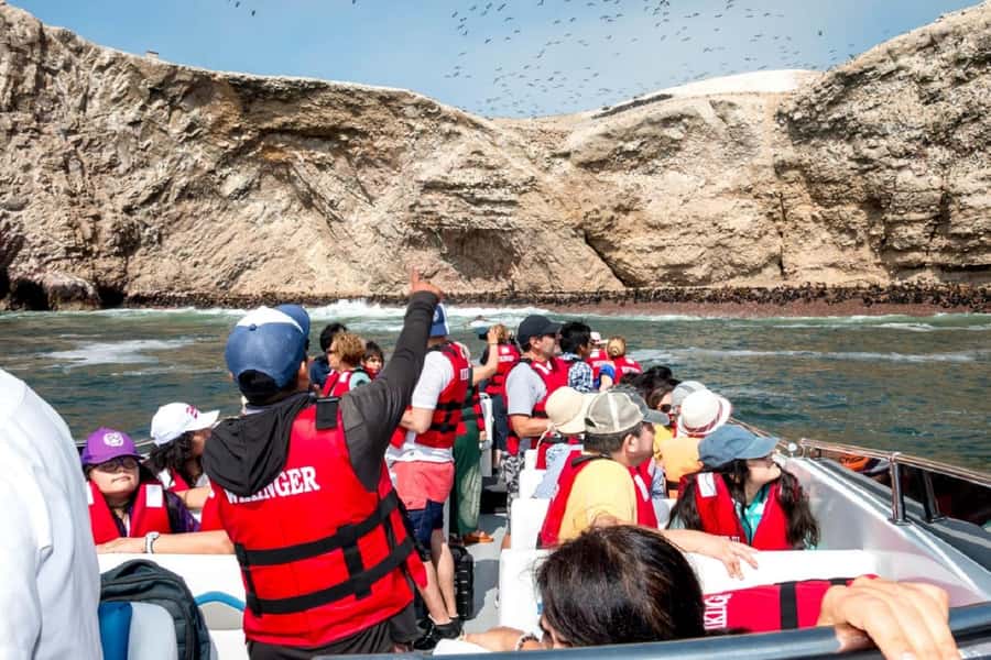 From San Martin Port: Ballestas Islands Tour in Paracas - What the $84 price really covers