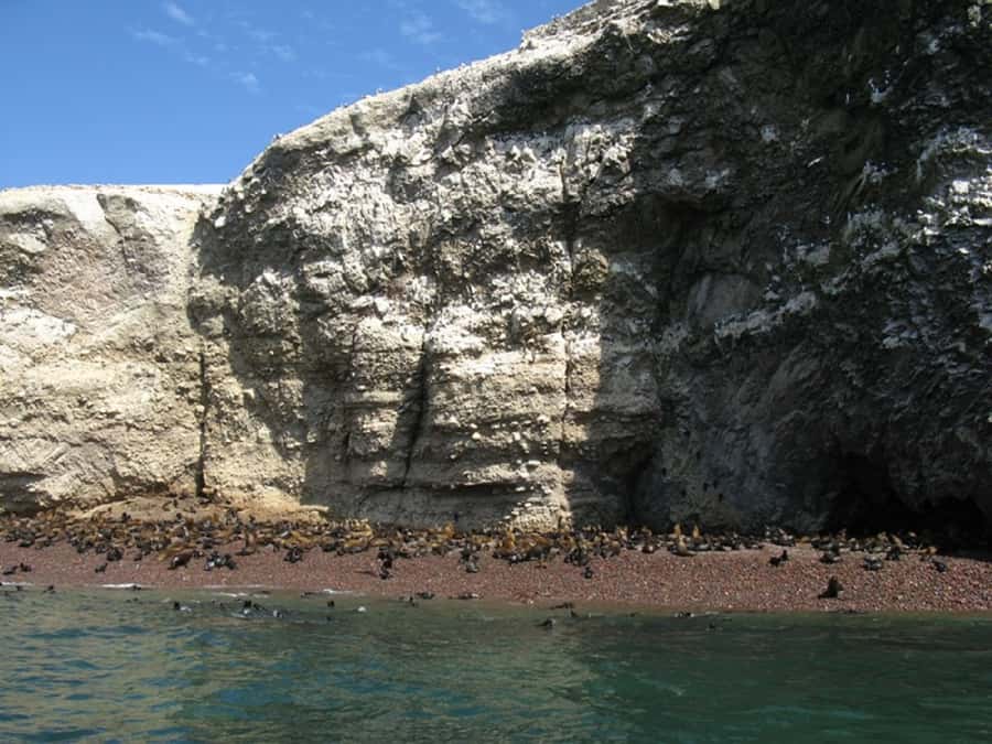 From San Martin Port: Ballestas Islands Tour in Paracas - Who will enjoy this most