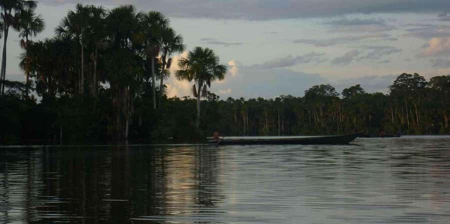 From Tambopata: Amazon Jungle Hike and Lake Sandoval 1-Day - The 3-kilometer walk to Lake Sandoval