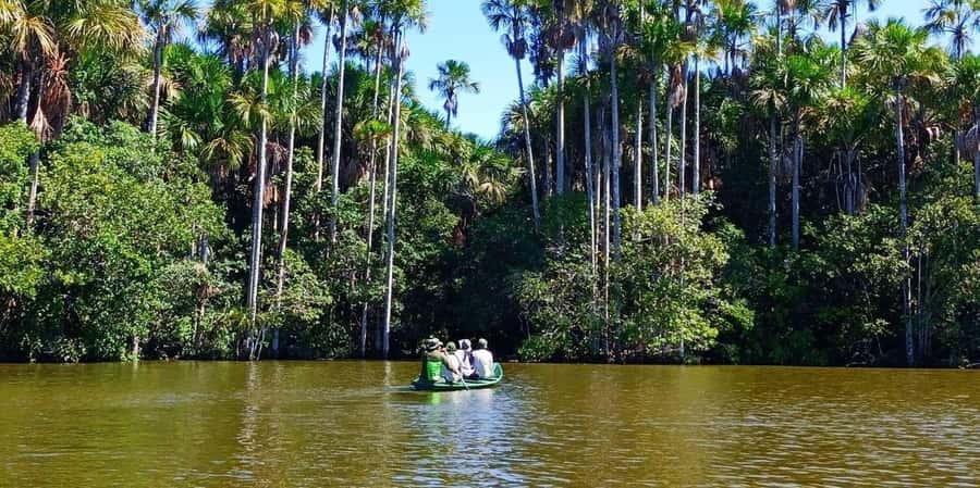 From Tambopata: Amazon Jungle Hike and Lake Sandoval 1-Day - FAQ
