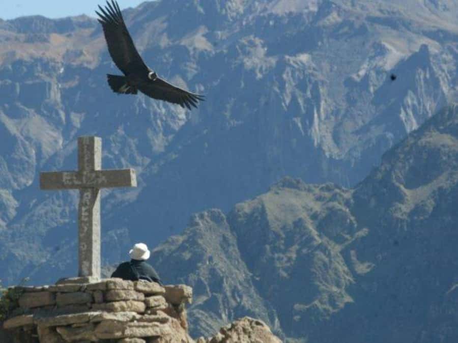 Full-Day Colca Canyon Tour from Arequipa - Key points at a glance