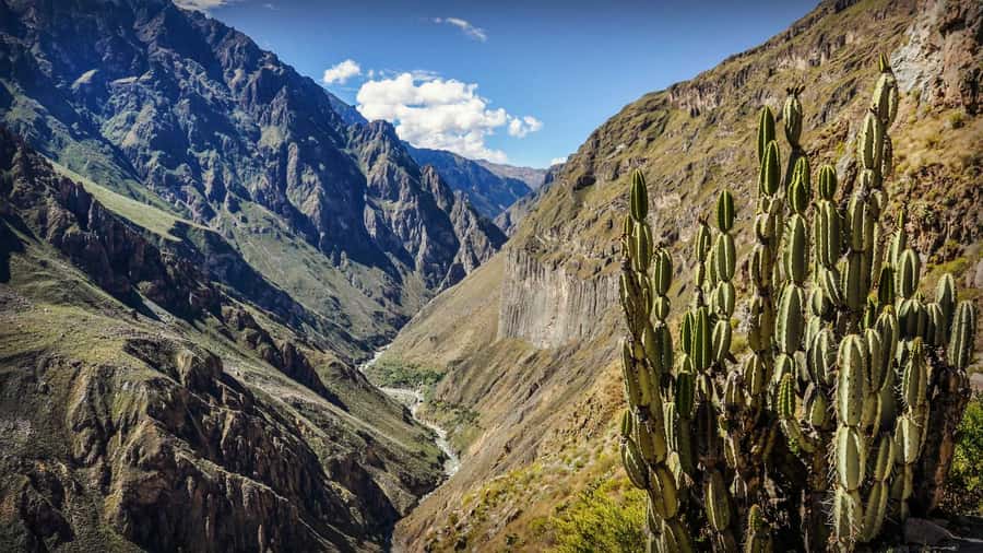 Full-Day Colca Canyon Tour from Arequipa - Patapampa at 4,800 meters before Arequipa