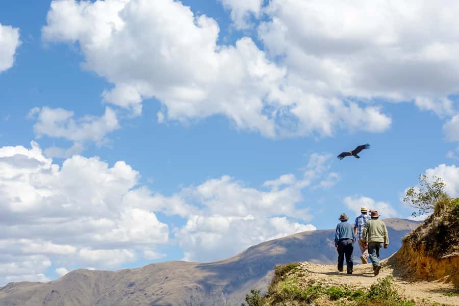 Full-Day Condor Viewpoint & Inca Sites Tour - Chonta and the High Trail to Huaco
