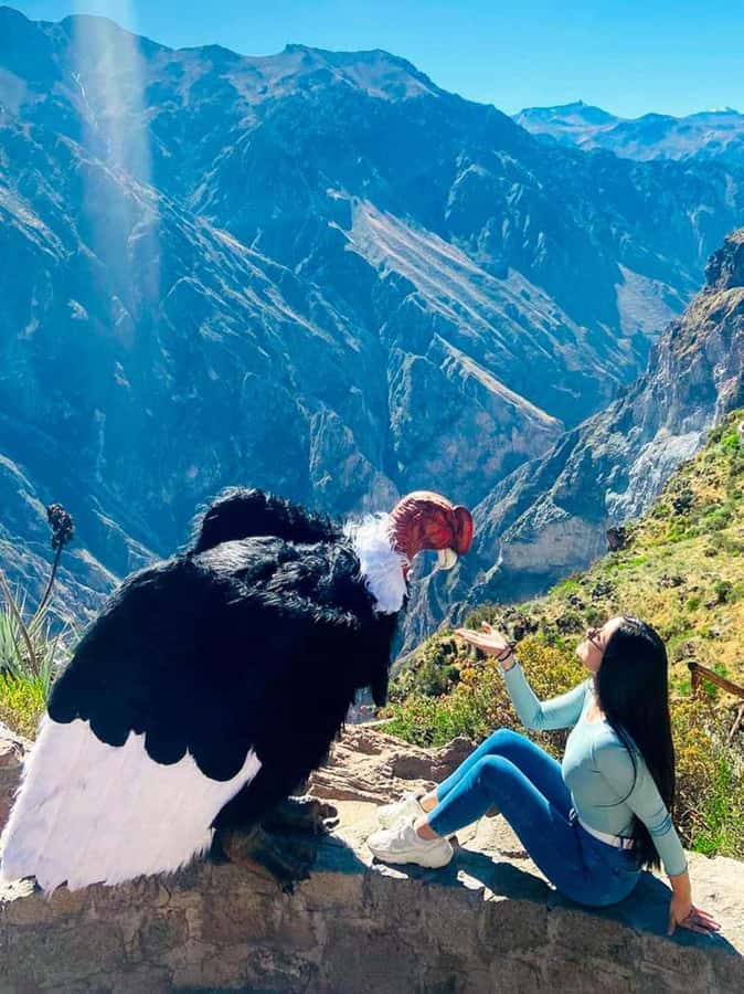 Full day excursion to Colca Canyon - Why Colca Canyon is worth the very early start