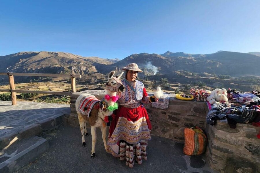 Full day excursion to Colca Canyon - The 4,910-meter volcano viewpoint