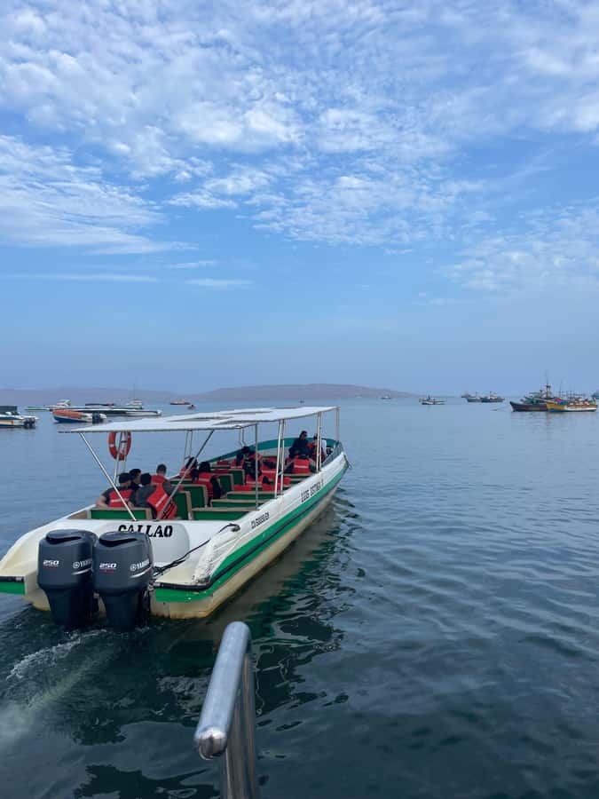 FULL DAY PARACAS - ICA - A full coastal day from wildlife to desert dunes
