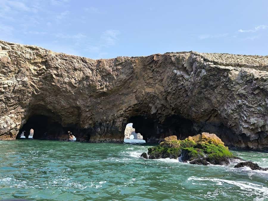 FULL DAY PARACAS - ICA - Paracas National Reserve by bus