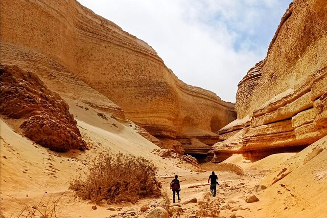 Full Day Tour Canyon of the Lost in Ica Desert - Ocucaje: desert valley and marine fossils