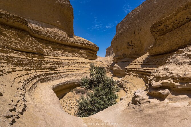 Full Day Tour Canyon of the Lost in Ica Desert - What is included for $28