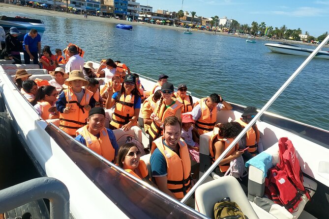 Full day Tour Paracas Ica & Huacachina from Lima. - Paracas and the Ballestas Islands by boat