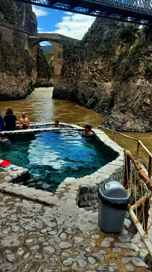 Full Day Trip to Colca Canyon from Arequipa ending in Puno - Vicuñas and birds in Pampa Cañahuas