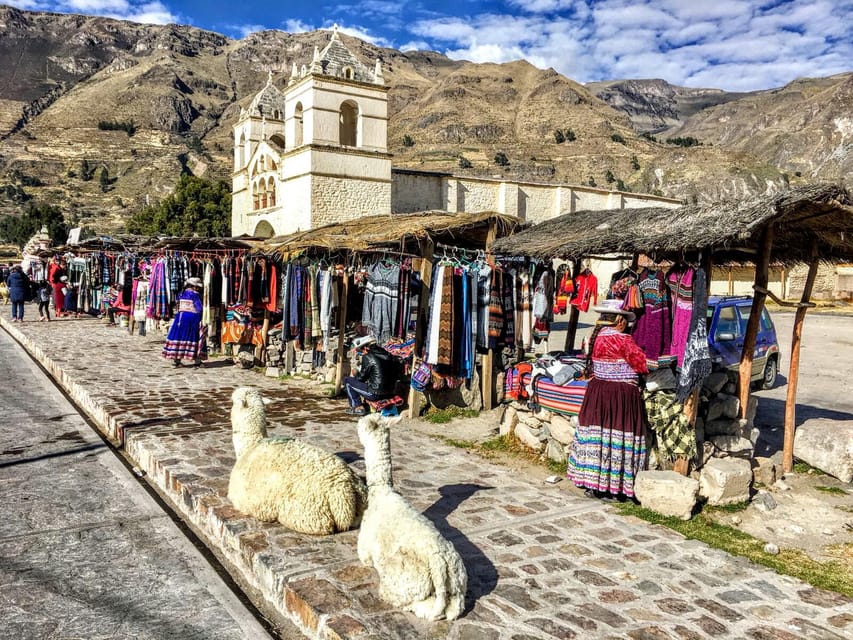 Full Day Trip to Colca Canyon from Arequipa ending in Puno - Cruz del Condor and the canyon viewpoint