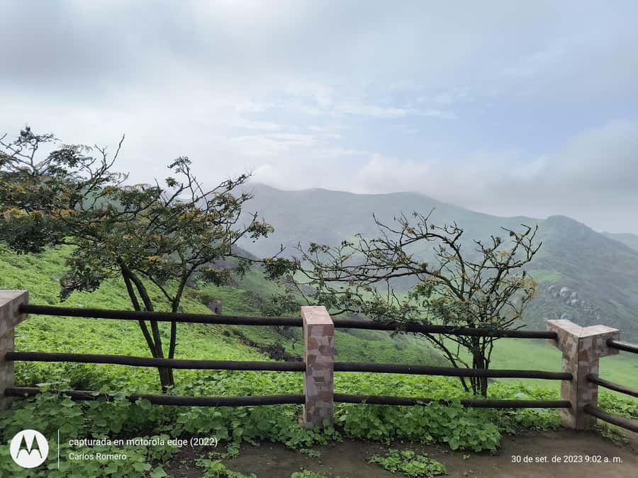 Hiking Lomas de Lachay in Lima - Booking details that matter