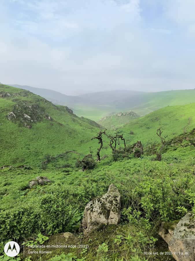 Hiking Lomas de Lachay in Lima - Breakfast, transport, and the real value of $165