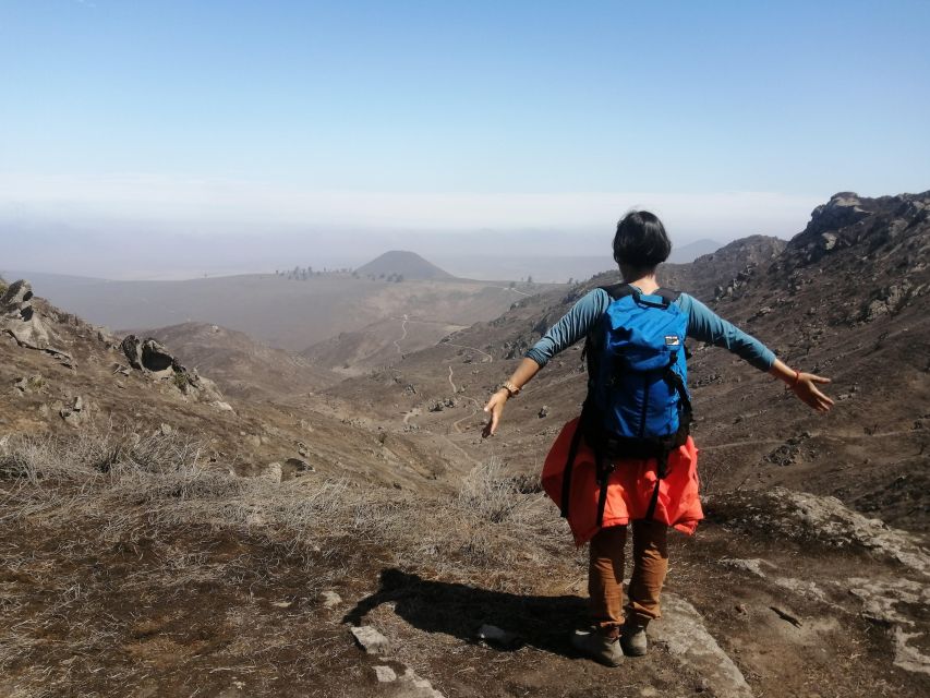 Hiking Lomas de Lachay in Lima - What to look for in the plants and wildlife