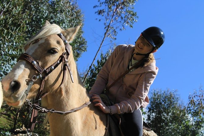 Horse Riding Chacan Mountain And Temple Of The Moon - A good choice for families and first-time riders