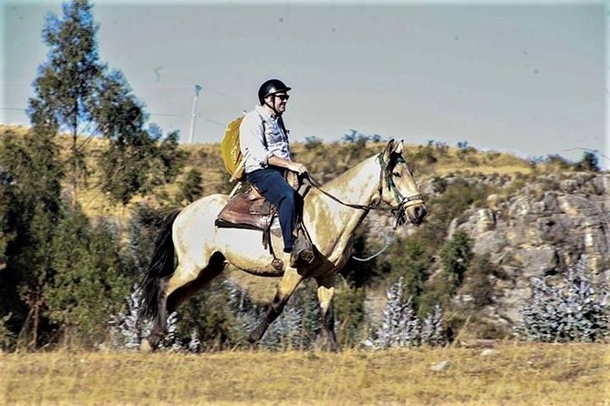Horse Riding Chacan Mountain And Temple Of The Moon - Is $65 a fair price?