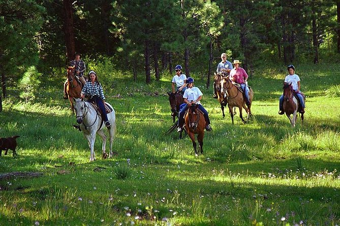 Horseback Riding Plus Tour to Sacsayhuaman, Quenqo, Puka Pucara and Tambomachay - Why this four-hour Cusco tour works
