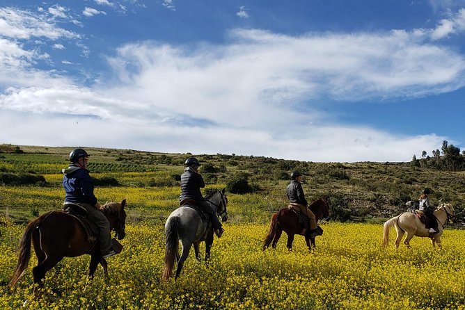 Horseback Tour in cusco to Temple of the Moon & Hidden temples - What the guide adds to the outing