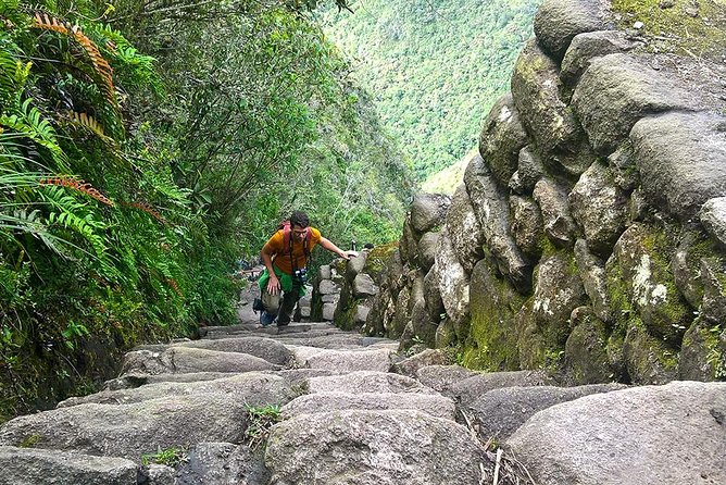 Huayna Picchu and Machu Picchu from Cusco Full day - Should you book the Huayna Picchu and Machu Picchu day trip?