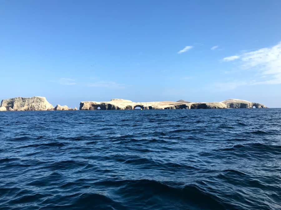 Ica: Ballestas Island & Paracas Reserve Private Tour - From Ica to the Pacific in One Morning