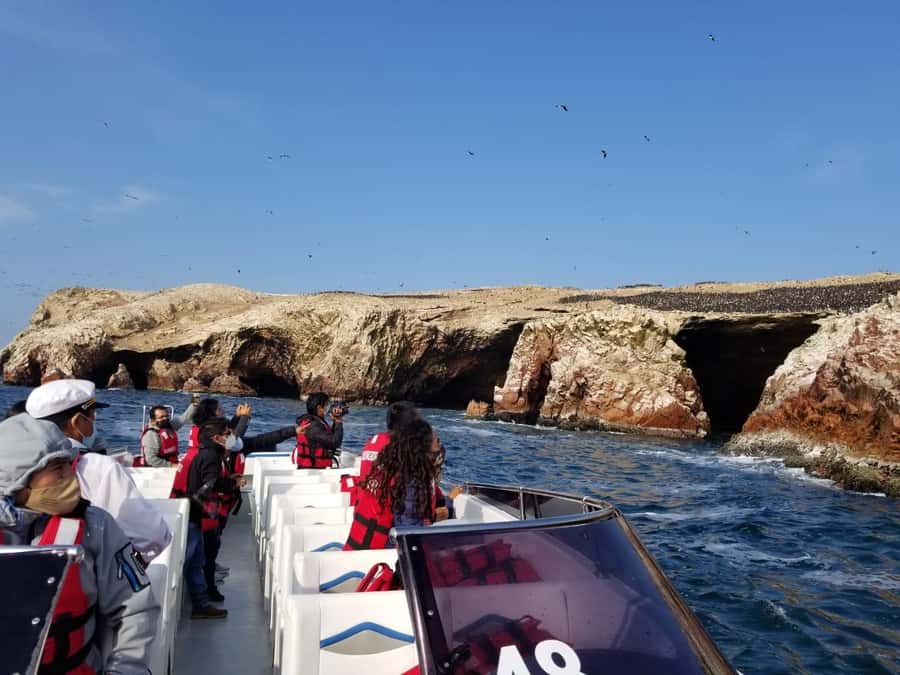 Ica: Ballestas Island & Paracas Reserve Private Tour - Should You Book the Ballestas and Paracas Tour?