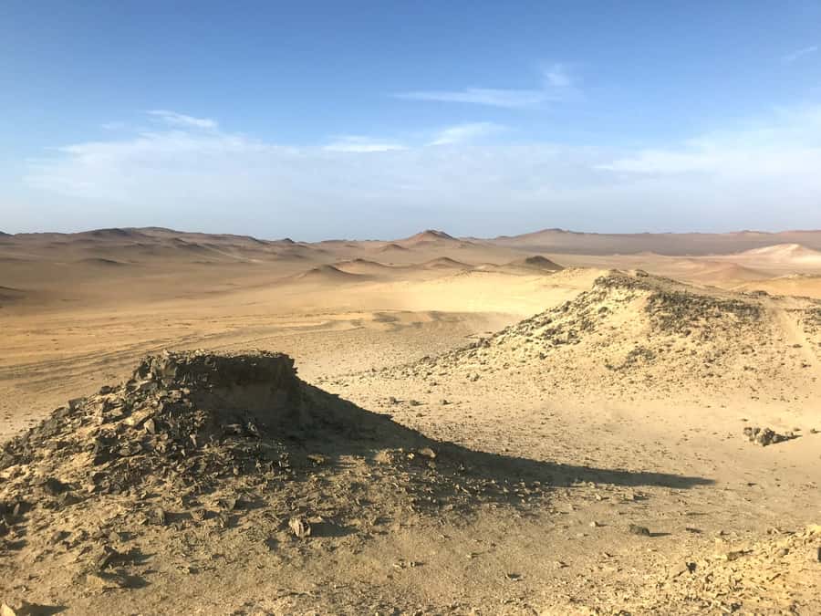 Ica: Ballestas Island & Paracas Reserve Private Tour - The Cathedral and a Coast Changed by Earthquake