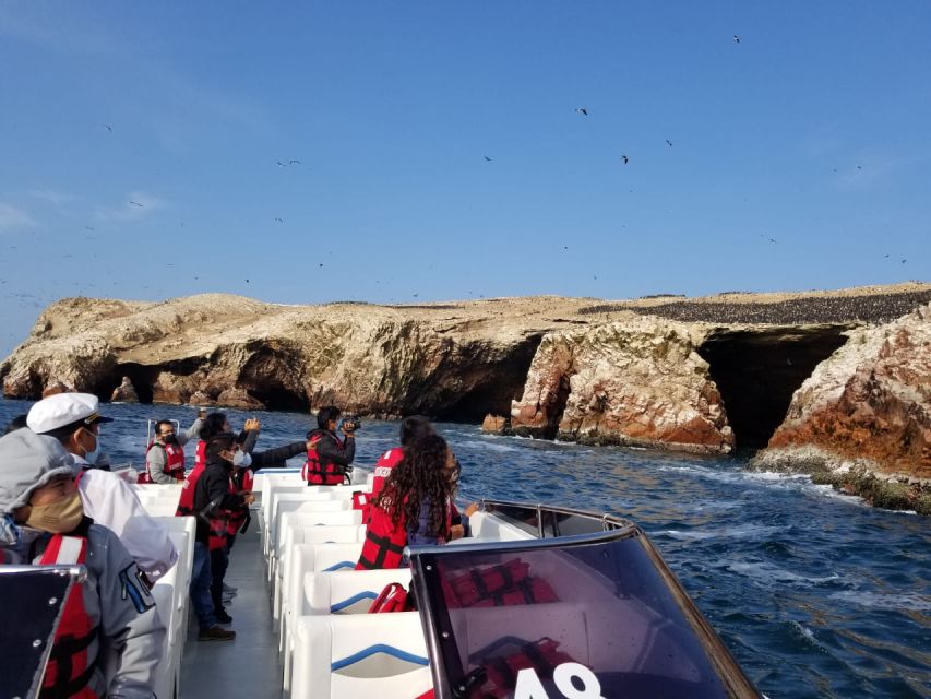 Ica: Ballestas Island & Paracas Reserve Private Tour - What the $100 Price Really Covers