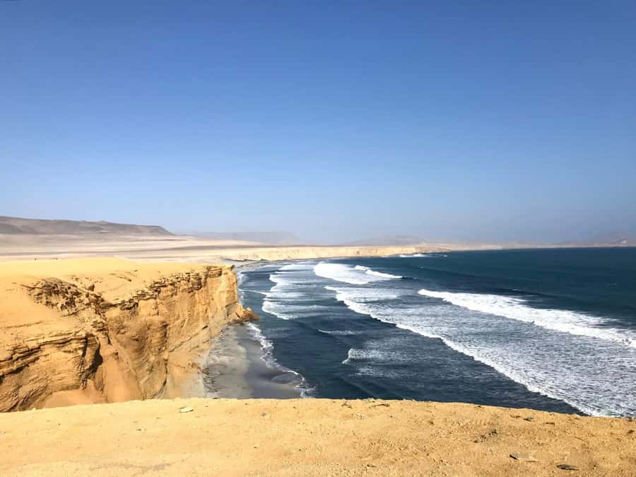Ica: Ballestas Island & Paracas Reserve Private Tour - Who Will Get the Most From This Tour