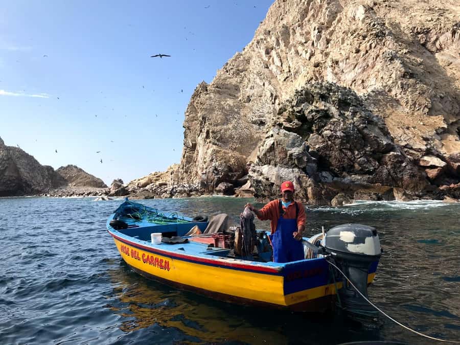 Ica: Ballestas Island & Paracas Reserve Private Tour - Ballestas Islands by Shared Speedboat