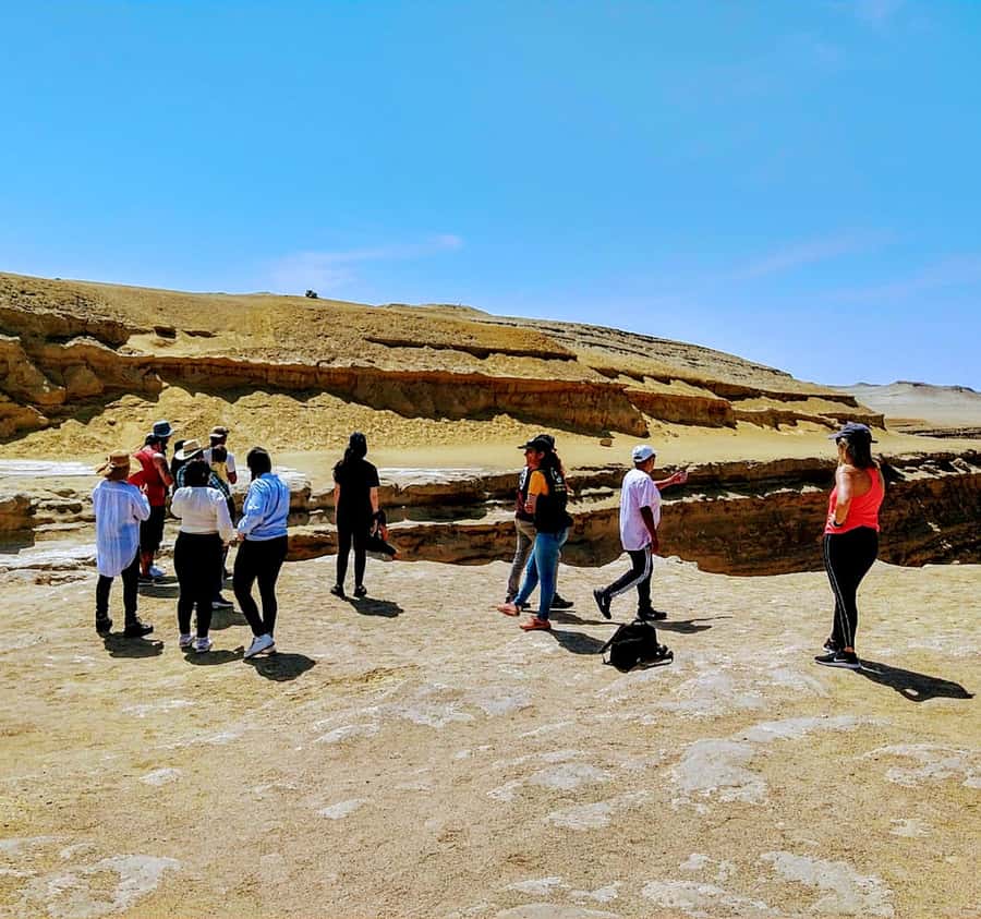 Ica: Canyon of the Lost Tour in Ocucaje Desert - How the $44 price works out