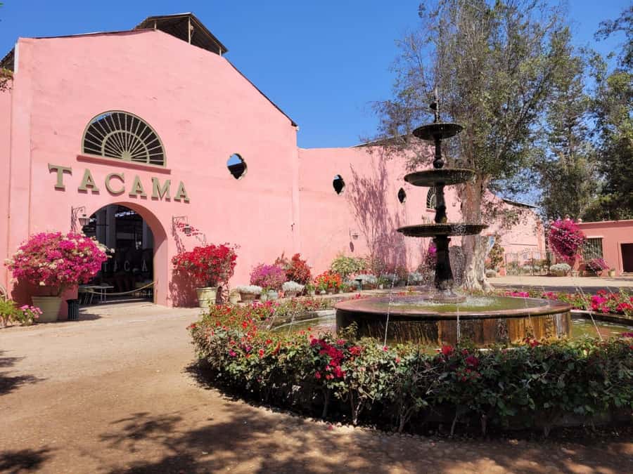 ICA: Pisco and Wine Route with tasting in 03 Wineries - Key points before you book