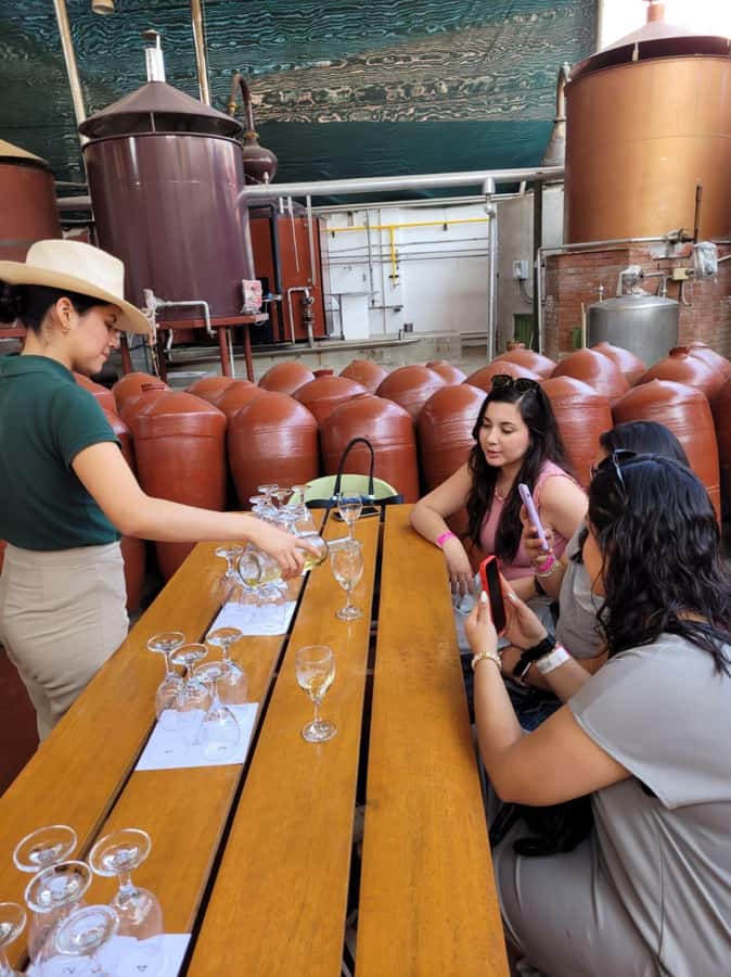 ICA: Pisco and Wine Route with tasting in 03 Wineries - What the 15-minute transfers add