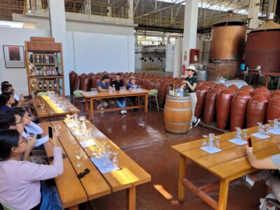 Pisco and Wine Route with tasting in 03 Wineries