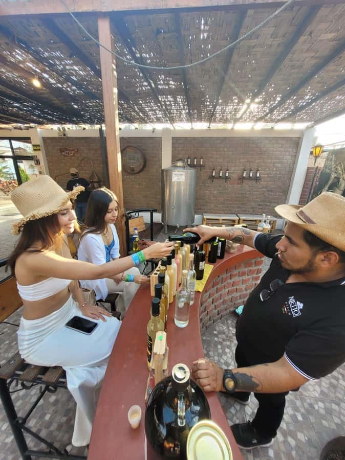 ICA: Pisco and Wine Route with tasting in 03 Wineries - Tasting the first wines and piscos