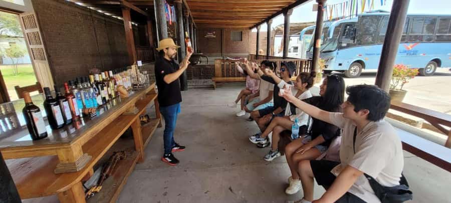 ICA: Pisco and Wine Route with tasting in 03 Wineries - Walking through the vineyards