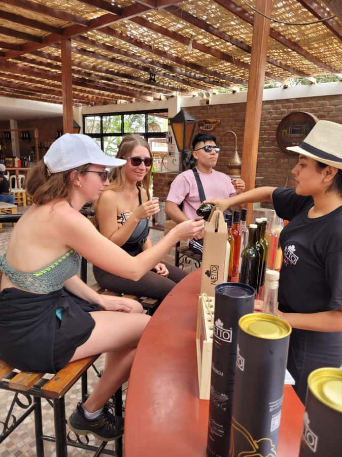 ICA: Pisco and Wine Route with tasting in 03 Wineries - Who will enjoy this outing most