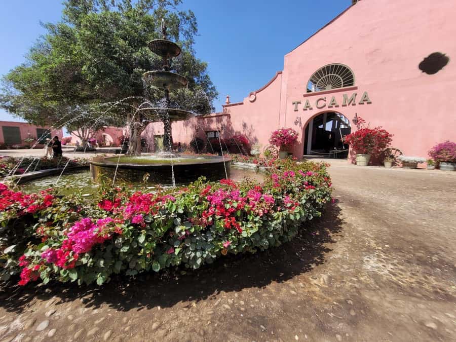 ICA: Pisco and Wine Route with tasting in 03 Wineries - Useful details for the day