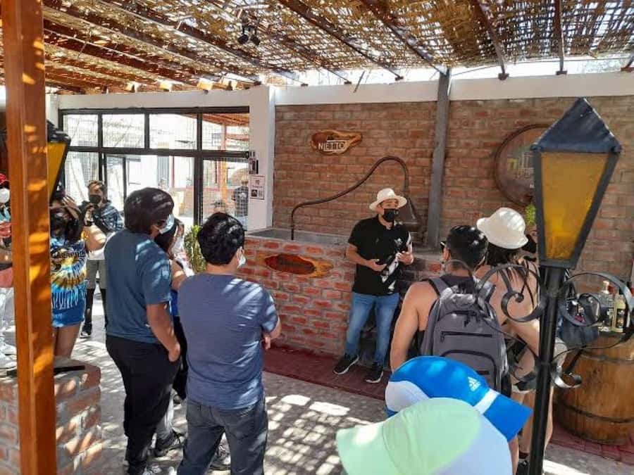 Ica: Tacama Winery and Pisco Tasting Tour with Hotel Pickup - Why Ica is the right place for a pisco tour
