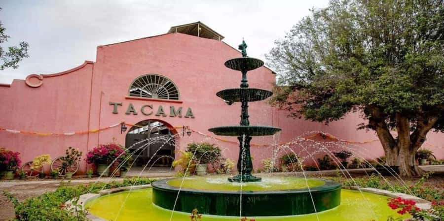 Ica: Tacama Winery and Pisco Tasting Tour with Hotel Pickup - El Catador, where pisco is made by hand