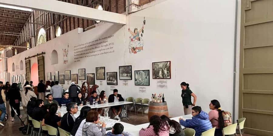 Ica: Tacama Winery and Pisco Tasting Tour with Hotel Pickup - Hotel pickup and the small-group setup