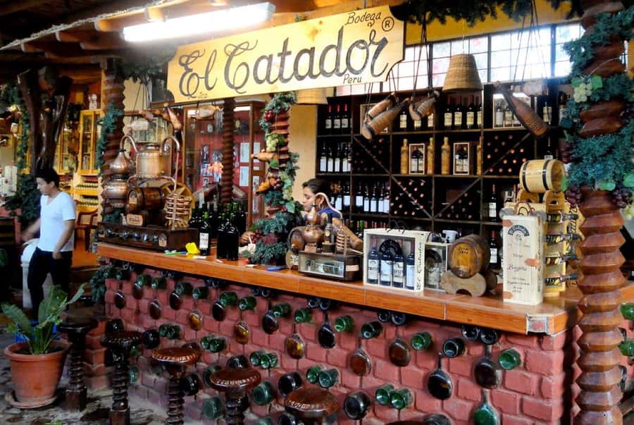 Ica: Winery Tour with Pisco and Wine Tasting - Two Ica wineries, one compact afternoon
